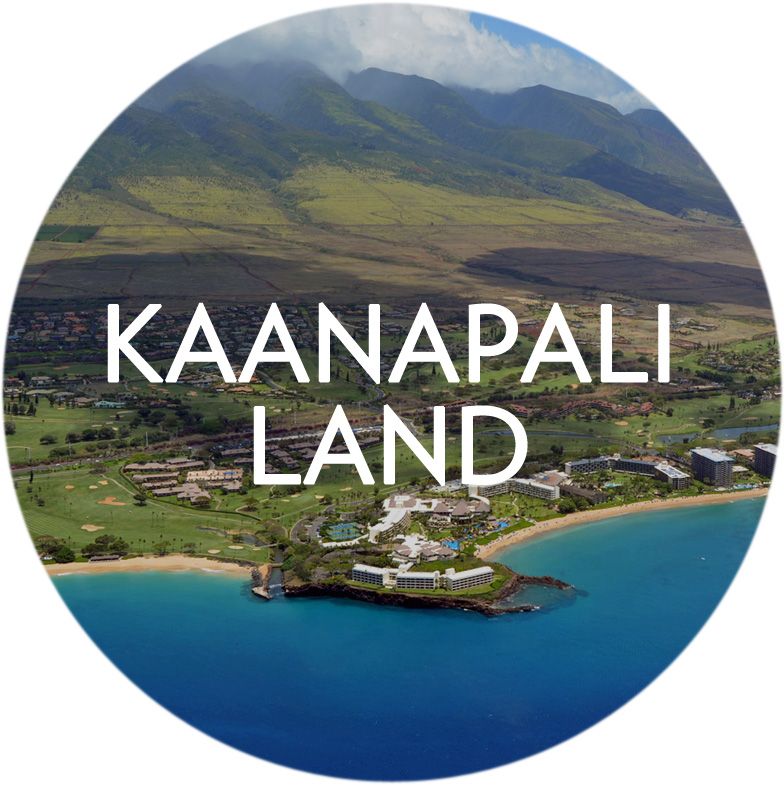 Search Kaanapali Land for Sale