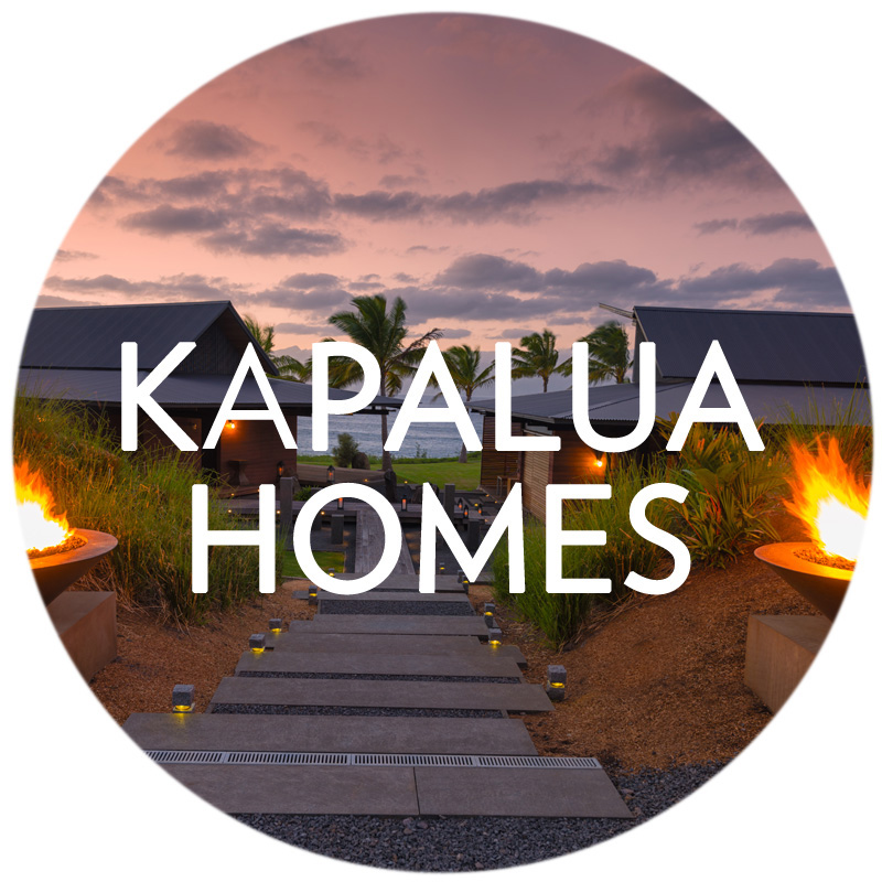 Search Kapalua Homes for Sale