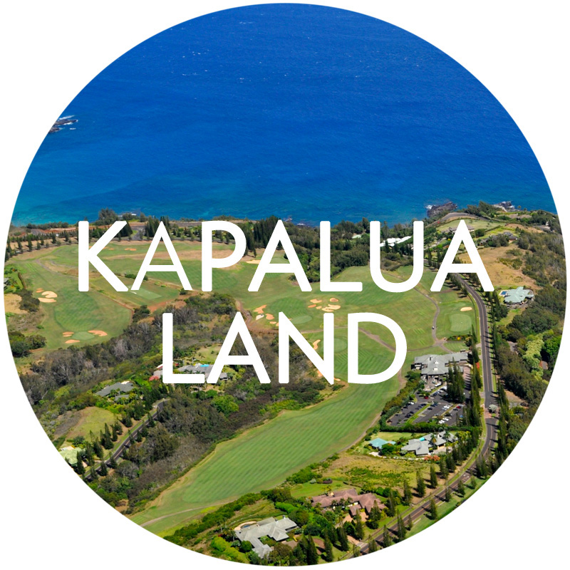 Search Kapalua Land for Sale